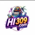 HI309 Game