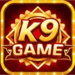 K9 Game